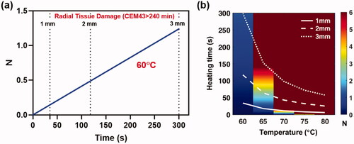 Figure 4. Instantaneous heating of implant: a) The reduction of S. aureus (TIDB1675) biofilm as a function of time for uniform implant heating at 60°C. Superimposed are the times when tissue thermal dose reaches a CEM43 value of 240 min (irreversible damage) at 1, 2 and 3 mm. From the graph it is seen that in order to achieve ∼95% reduction (N = 1.25) of biofilm on the implant surface tissue is irreversibly damaged to a radius of 3mm. b) Similar trends for biofilm reduction as a function of time are shown for a range of implant surface temperature ranging from 60–80°C, along with the times for tissue damage at 1,2 and 3 mm. The image shows that temperatures above 70°C can reduce biofilm (N > 6) in a few seconds while restricting tissue damage to less than a few 1 mm.