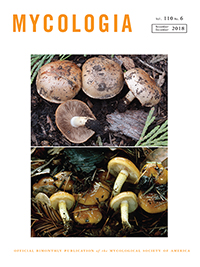 Cover image for Mycologia, Volume 110, Issue 6, 2018