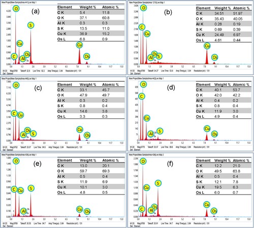 Figure 6. EDX spectra and chemical compositions of 6 samples. (a) PP-CuO-1, (b) PP-CuO-2,(c) PP-CuO-3, (d) GL-CuO-1, (e) GL-CuO-2, and (f) GL-CuO-3.