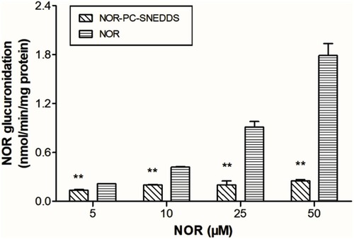 Figure 10 Comparison of the metabolism of NOR-PC-SNEDDS and NOR in rat liver microsomes.Note: **P<0.01, there was a very significant difference compared to the NOR group.Abbreviations: SNEDDS, self-nanoemulsifying drug delivery system; NOR-PC, norisoboldine-phospholipid complex; NOR, norisoboldine.