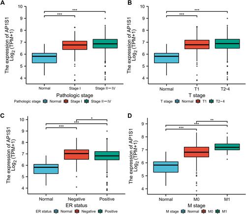 Figure 4 The correlation between AP1S1 expression and clinical factors in TCGA. The correlation between SEC61 expression and Pathologic stage (A), T stage (B), ER status (C) and M stage (D). *P<0.05, **p<0.01, ***p<0.001.