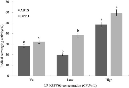 Figure 2 Scavenging activity of KSFY06 towards the DPPH and ABTS free radicals. KSFY06: Lactobacillus plantarum KSFY06. Low: mouse treated with 2.5×109 CFU/mL KSFY06; High: mouse treated with 2.5×1010 CFU/mL KSFY06. a-cThere was significant difference in different letters in the same column (P < 0.05), which was determined by Duncan’s multiple range test.