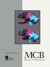 Cover image for Molecular and Cellular Biology, Volume 37, Issue 8, 2017