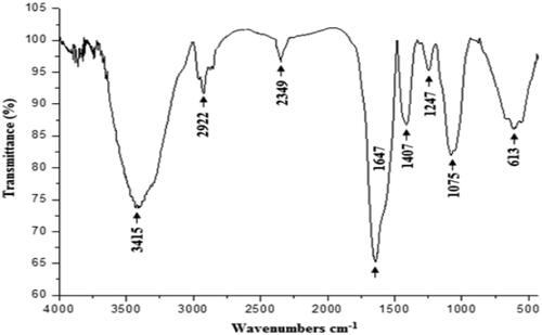 Figure 3. Infrared spectra of the polysaccharide extracted from CCE recorded in the frequency range of 4000–500 cm−1.