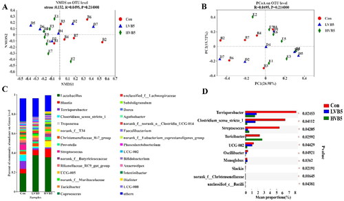 Figure 2. Effect of vitamin B5 on the composition of colonic bacterial. (A) NMDS plot of functional profiles among groups. (B) PCoA plot of functional profiles among groups. (C) Colon bacterial communities at the genus level. (D) Colonic differential bacteria at the genus level. n = 7. *p < .05, **p < .01, ***p < .001.