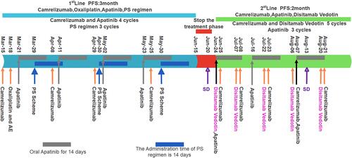 Figure 2 The treatment procedures. PS regimen: oral tegafur-gimeracil-oteracil (S-1) and paclitaxel were administered intraperitoneally and systemically.