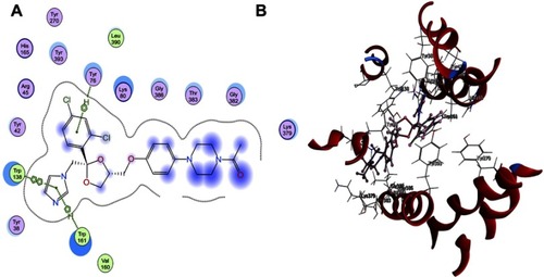 Figure 8 (A) 2D and (B) 3D molecular interaction of 2S,4R and 2R,4S diastereoisomers into the active site (Protein Data Bank ID: 1PW4).Abbreviation: 1PW4, glycerol-3-phosphate transporter from Escherichia coli which was the representative structure from the major facilitator superfamily.