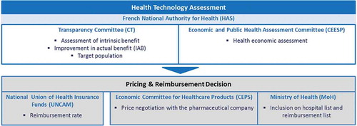 Figure 1. Overview of the bodies involved in the pricing and reimbursement process in France.