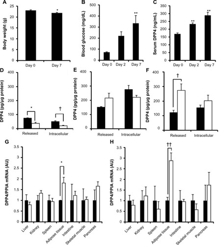 Figure 4 Increased release of DPP4 in streptozotocin-induced diabetic mice.