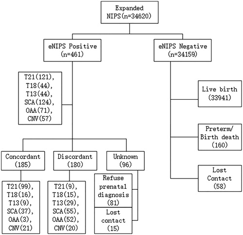 Figure 1. The flowchart of genome-wide expanded noninvasive prenatal screening (eNIPS) results and clinical outcomes. T21: Trisomy 12; T18: Trisomy 18; T13: Trisomy 13; SCA: sex chromosome abnormality; OAA: other autosomal aneuploidy; CNV: copy number variant.