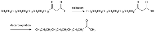 Figure 1.  The decanoyl acetaldehyde can be converted into 2-undecanone via both oxidation and decarboxylation.