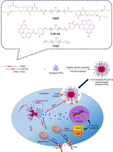 Scheme 1 Illustration of the preparation, intracellular drug release, and induced apoptosis of the redox-responsive FFSSTP mixed polymeric micelles.Abbreviations: ATP, adenosine triphosphate; FA, folate; FFSSTP, F127-FA/FSST/P123; FSST, F127-disulfide bond-TPGS; P-gp, GSH, glutathione; P-glycoprotein; PTX, paclitaxel; ROS, reactive oxygen species; TPGS, d-α-tocopheryl polyethylene glycol 1000 succinate.