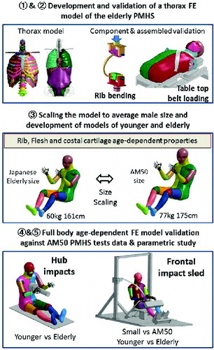 Figure 1 Scheme of the methodology followed in this study.