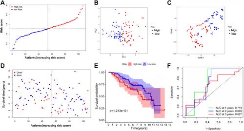 Figure 7 Comparison of high- and low-risk groups in the Gene Expression Omnibus (GEO) dataset. (A) The distribution of patients based on the risk score. (B) PCA plot for OCs based on the risk score. (C) t-SNE plot for OCs based on the risk score. (D) The survival status of each patient (low-risk group: on the left side of the dotted line; high-risk group: on the right side of the dotted line). (E) Kaplan–Meier curves for the OS of patients in the high- and low-risk groups. (F) ROC curves demonstrating the predictive efficiency of risk score.