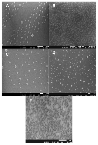 Figure S1 Size analysis of permeation-enhanced drug-loaded nanoparticle. Representative field emission scanning electron microscopic image of permeation-enhanced drugloaded nanoparticles. (A) 4 wt%, (B) 4.5 wt%, (C) 5 wt%, (D) 5.5 wt%, and (E) 6 wt% oleic acid (chemical permeation-enhanced) preparations.