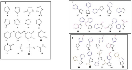 Figure 1. Examples of fragments for fragment-based drug discovery and the selection process for fragment library construction. (a) Examples of molecular recognition polar motifs (hydrogen bond donors and acceptors); (b) expansion of pyrazole moiety 1 to include some key pharmacophore shapes (in blue and magenta); and (c) pyrazole pharmacophores with variety of polarizable groups (in red) and additional groups (in brown) increase depth of coverage of the chemotype
