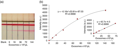 Fig. 7.  Effect of Ma-Mel-86c purified exosomes concentration on the optical density by LFIA. A blend of anti-CD9 and anti-CD81 was used as capture antibodies and AuNP-anti-CD63 as detection probe. (a) Representative example of results obtained in the strips. (b) Calibration curve obtained at the LFIA device. The data points were obtained in triplicate and error bars represent the standard deviations of triplicate runs. Inset shows the expanded view of low concentration data and linear regression lines.