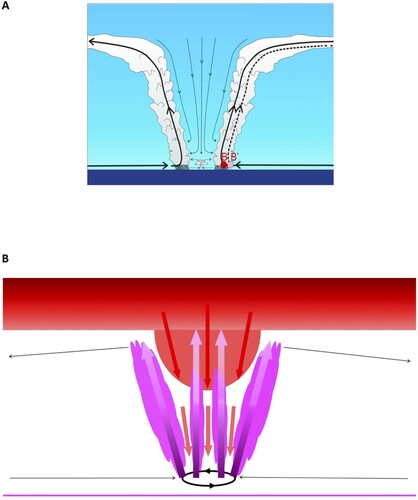 Fig. 14 Schematic depiction of tropical cyclone structure from (a) Emanuel (Citation2018), and (b) This study.