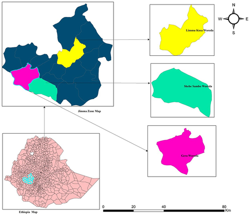 Figure 1 Geographical map of study area on risk perception and preventive behaviors among elementary school students in southwestern Ethiopia, 2020.