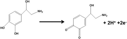 Scheme 1. Electrochemical oxidation mechanism of norepinephrine.