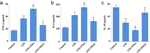 Figure 3. Effect of NF-κB pathway on cytokines in hPDLSCs after LPS induction. Expression of TNF-α (a), IL-6 (b), IL-10 (c) in LPS-treated hPDLSCs. hPDLSCs, human periodontal ligament stem cells; LPS, Lipopolysaccharide; PMA, NF-κB pathway agonist; PDTC, NF-κB pathway inhibitor; *P < 0.05 and **P < 0.01 vs. control group, #P < 0.05 vs. LPS group.