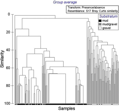 Fig. 12  Dendrogram of similarity in molluscan and echinoderm taxa (n=228), all sites, all substratum types, eastern Waiheke Island, using presence/absence data.