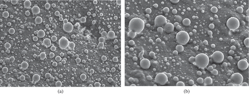 Figure 4. Scanning electron microscopic (SEM) images of low-fat meat emulsion (AGVOT3; 50% fat replacement) samples: (a) at 500×, (b) at 1000×.