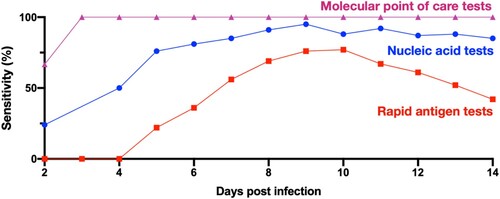 Figure 4. Sensitivity of nucleic acid tests, rapid antigen tests, and molecular point-of-care (POC) tests. The red, blue, and pink lines denote the sensitivity over days post infection of nucleic acid tests [Citation23] and rapid antigen tests [Citation23], molecular point of care tests, respectively [Citation24–26]. The sensitivity denotes the probability of having a positive test result given SARS-CoV-2 infection. Molecular techniques, such as RT–PCR, are considered the gold standard to identify SARS-CoV-2 but need days to generate results [Citation24–26]. The POC testing has the potential to enhance this approach by generating high-sensitivity results within 20 minutes [Citation24–26]. Molecular POC tests can be rapid nucleic acid tests, antigen tests and antibody tests performed or interpreted in various POC settings by healthcare professionals other than the person being tested.