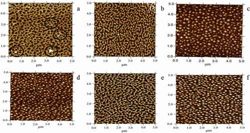 Figure 5. Effects of subcritical water treatment on the atomic force microscopy (AFM). AFM images of untreated zein (a) and subcritical water-pretreated zein (b–f). Subcritical water treatment conditions: treatment sample (0.5 g/30 mL); subcritical water treatment time, 20 min (b), 60 min (c), and 100 min (d). Subcritical water-treated temperature 130°C (e) and 170°C (f).
