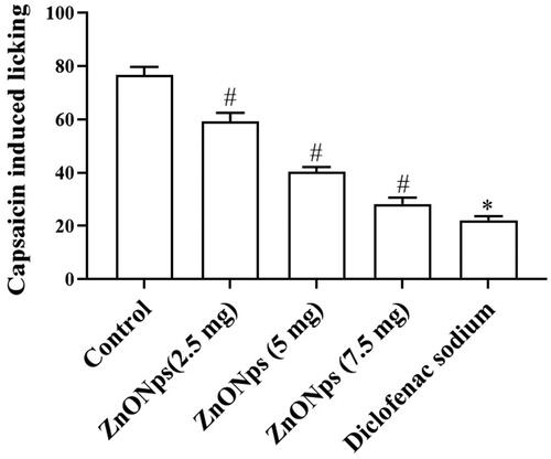 Figure 6. Effect of ZNO-NP on capsaicin-induced licking in mice. All values are illustrated as mean ± SD of six animals. The statistical significance level was calculated by one-way ANOVA followed by the Dunnet’s post hoc test; note: #p < .05 when compared with control group and *p < .05 when compared with ZnONPs administered groups.
