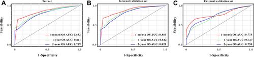 Figure 4 Time-dependent ROC curves by 2-year survival associated nomogram for predicting 1-month, 1-year, and 2-year survival rates in the training (A) set, in the internal validation set (B), and in the external validation set (C).