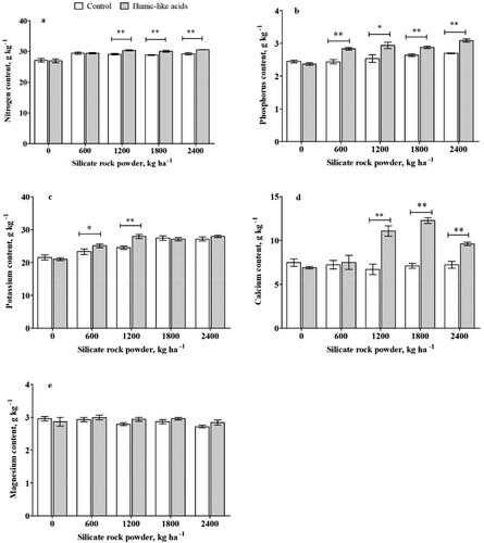 Figure 3. The nutrient content of nitrogen, phosphorous, potassium, calcium, and magnesium in maize plants grown in a weathered soil treated silicate rock powder (0, 600, 1200, 1800, 2400 kg ha−1) with or without and humic-like acids (40 mg L−1). Asterisk indicates statistical differences (Tukey test p<0.05) between plants with or without HLA at the same silica rock powder rate. Bars represent standard deviation.