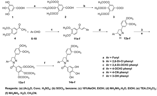Scheme 1.  Synthesis of different galloyl pyrazoline derivatives 14a–f.