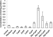 Figure 4 Effect of riboflavin and metalloporphyrins on cytochrome P-450 in liver in the presence of white light. Adult Wistar rats were administered riboflavin (10 mg/kg bw) and metalloporphyrins.