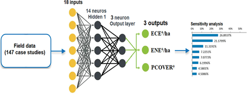 Figure 1. Artificial neural network (ANN) architecture.