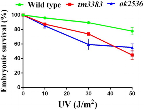 Figure 7. The vig-1 mutants are sensitive to UV. F3 generation L4 hermaphrodites were irradiated with various doses of UV, and the embryonic survival (%) was determined as described in the Materials and methods. More than 100 embryos were used for each data point. Similar results were obtained from three separate experiments, and error bars indicate SEM.