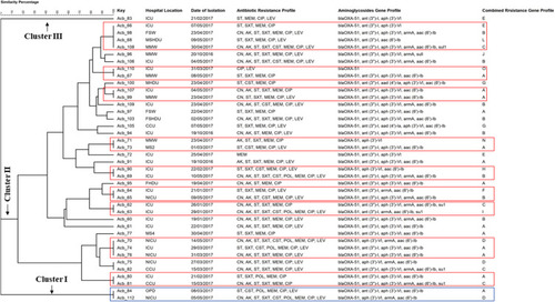 Figure 6 Clonal relatedness between A. baumannii clinical isolates based on the constructed unweighted pair-group method with arithmetic average (UPGMA) dendrogram for the generated RAPD-PCR banding profile. The aac(6')-Ib gene detected in the isolates Acb_73, Acb_75, Acb_80, Acb_81, Acb_83, Acb_84, Acb_90, Acb_91, Acb_97, Acb_108, Acb_109  was  termed more specifically as aac(6')-SL allelic variant in this study. 