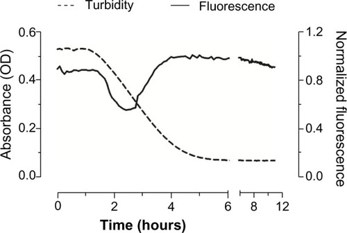 Figure 4 Variation of turbidity (absorbance at λ 510 nm) and fluorescence (excitation λ 350 nm, emmission λ 670 nm) with time for AlPc-NPs (1 μM AlPc) dispersed in PBS at 25°C.Abbreviations: OD, optical density; AlPc, aluminum–phthalocyanine chloride; NPs, nanoparticles; PBS, phosphate buffered saline.