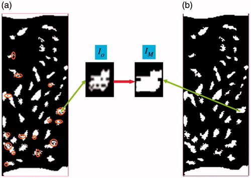 Figure 15. Morphological operation on the tissue. (a) Image with preliminary nuclei tissue, (b) Image with holes filling.