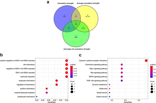 Figure 3. Functional enrichment of the differentially expressed proteins (DEPs). (a) Venn diagram of the DEPs; (b) Bubble diagram of Gene ontology (GO) terms enriched with DEPs. (c) Bubble diagram of pathways enriched in DEPs. The horizontal axis is the GeneRatio: the higher the ratio, the greater the fraction of proteins which are DEPs. The size of the dot is the number of DEPs. As the color changes from blue to red, the smaller the p value and the higher the corresponding significance