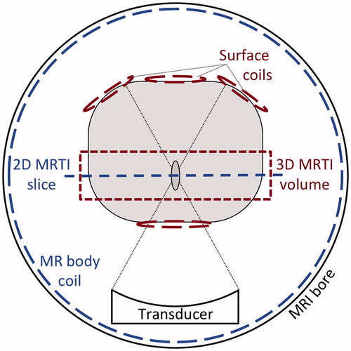 Figure 1. Schematic for MRgFUS property determination highlighting distinction between the preclinical (3D MRTI volume, Surface coils) and clinical (2D MRTI slice, MR body coil) setups. MR temperatures are measured in a plane perpendicular to the direction of ultrasound propagation, which is the coronal MR plane for a vertical shooting transducer. The clinical protocol utilises the body coil to monitor temperatures in a single 2 D slice. The pre-clinical setup uses multiple surface coils to enable 3 D temperature imaging with comparable temporal and spatial resolution.