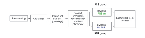 Figure 1. Study timeline.Subjects were consented and enrolled following amputation and randomized to receive a 60-day PNS therapy with SMT or SMT alone. Subjects were followed for up to 12 months.PNS: Peripheral nerve stimulation; SMT: Standard medical therapy.