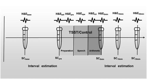 Figure 1. Schematic illustration of the procedure. Saliva cortisol (SC) was collected five times at baseline, before the TSST, and after the TSST 0 min/15 min/30 min. Note: Heart rate (HR) and electrodermal activity (EDA) were recorded eight times for 5 min at baseline, before the TSST, throughout the preparation/speech/arithmetic, and at 0min/15 min/30 min after the TSST manipulation. Two interval estimation tasks were performed before and after the TSST, respectively. H&E: Heart rate (HR) and electrodermal activity (EDA), HRbase(baseline), HRbef (before TSST), HRpre(preparation), HRspe(speech), HRAir(Arithmetic), HR0min(TSST0min), HR15min(TSST15min), HR30min(TSST30min), SC: Salivary cortisol; TSST: Trier Social Stress Test.