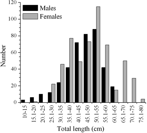 Figure 2. Raja radula. Length-frequency distribution of males and females R. radula caught in the Gulf of Gabès.