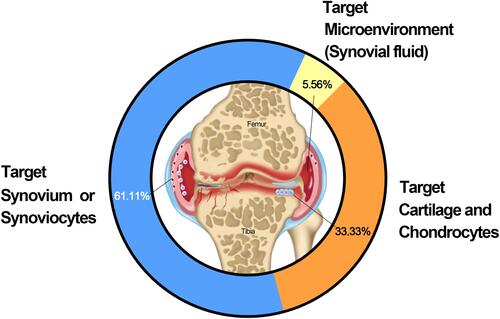 Figure 4 Representative research targets of IA DDSs.