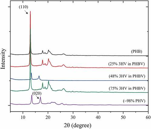 Figure 3. Wide-angle X-ray diffraction patterns for 100% 3HB (red), 75% 3HB (green), 50% 3HB (yellow), 25% 3HB (blue) and 100% 3HV (purple) - PHBV.