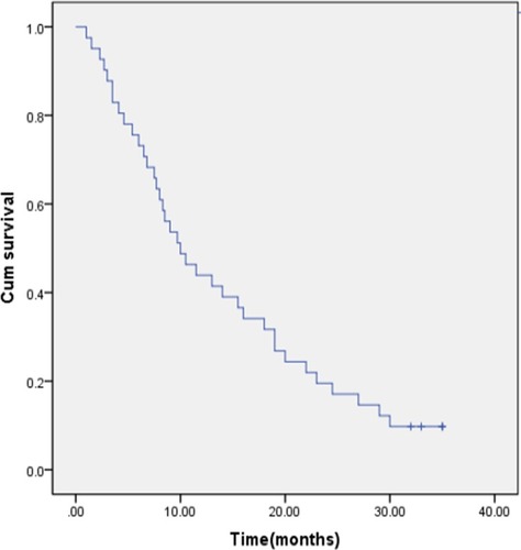 Figure 1 Kaplan–Meier estimate of PFS for Chinese NPC patients with pulmonary and/or hepatic metastasis treated with low-dose apatinib plus S-1.