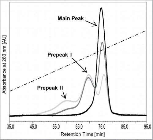 Figure 2. Analytical FcRn affinity chromatography of mAb1 (black curve) and H2O2-treated mAb1_Ox (0.01 and 0.02% v/v, dark gray and light gray curves, respectively). The dotted line indicates the pH gradient.