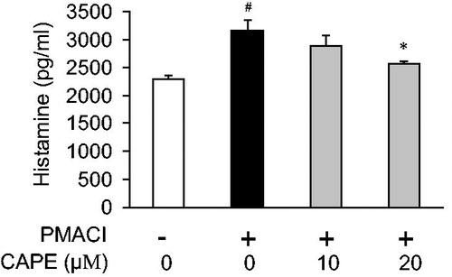 Figure 4. The effect of CAPE on histamine release in PMACI-induced HMC-1 cells. HMC-1 cells (2 × 106 cells/ml) were treated with PMACI for 24 h and the histamine assay was performed on the supernatant from the cells. Each bar represents the mean ± SD from three independent experiments. #p < 0.05, compared with PMACI-unstimulated cell values. *p < 0.05, compared with PMACI-stimulated values.