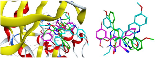 Figure 12. Overlay of 4c (green), 4f (cyan), and ligand (magenta) inside PIM-1 kinase active site.